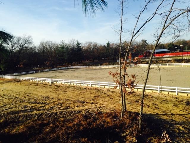 Image of the horse arena under construction Image of the horse arena under construction